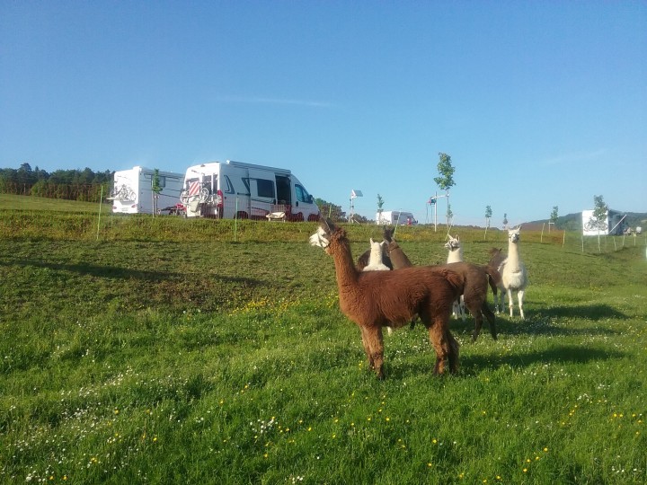 Wohnmobilstellplatz in Diebach am Forellenhof