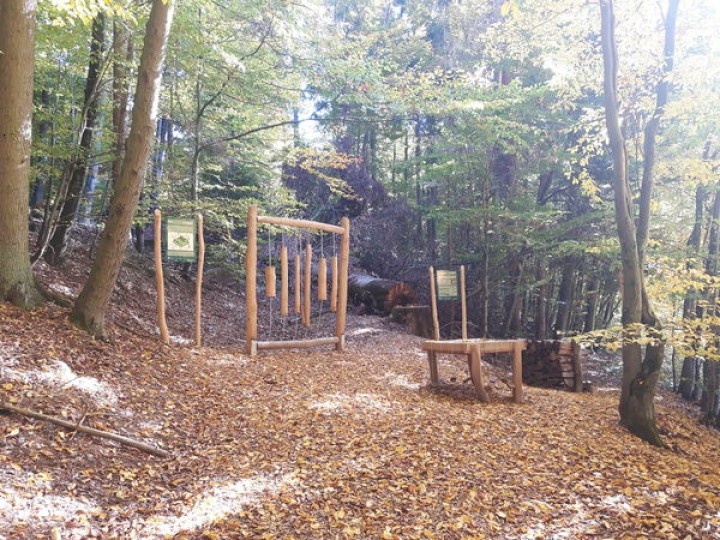 Walderlebnisweg Oehrbachtal