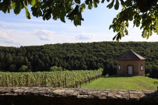 Weinlehrpfad Hammelburg