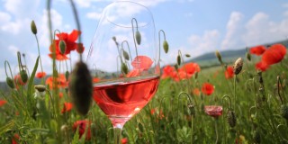  Wein und Genuss in Frankens Saalestück 