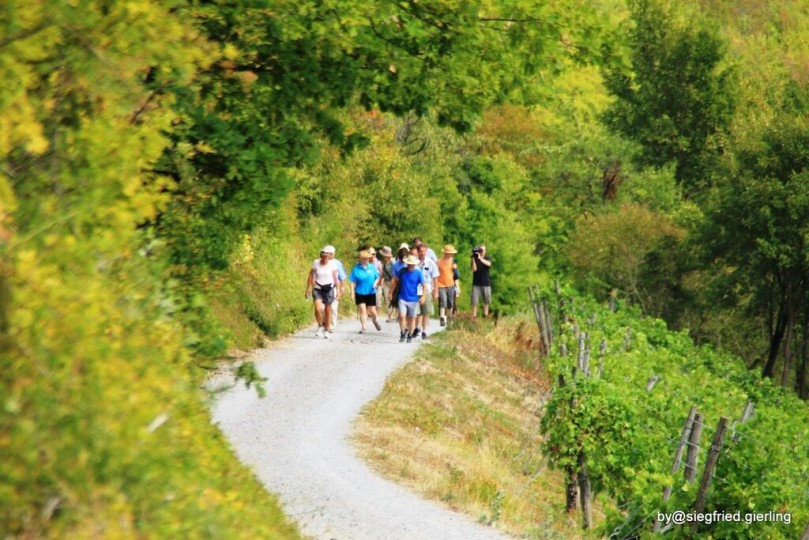 Wanderung auf Schusters Rappen zu alten Kulturen und Wein