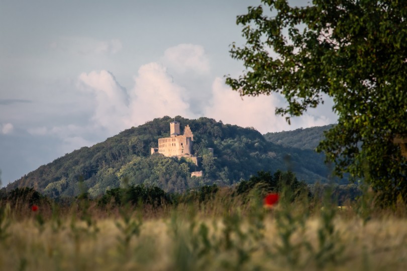 Burgruine Trimburg