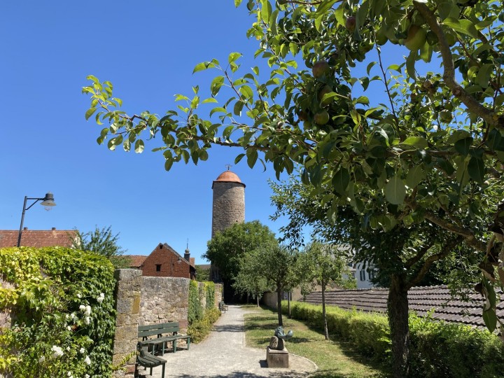 Hammelburg - Älteste Weinstadt Frankens