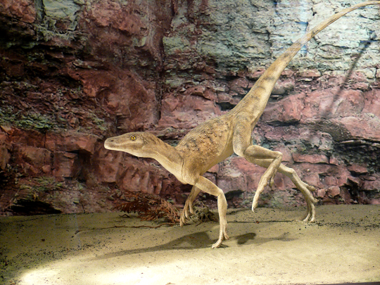 Museumsführung Terra Triassica
