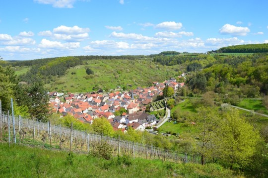  Ortsansicht aus den Weinbergen 