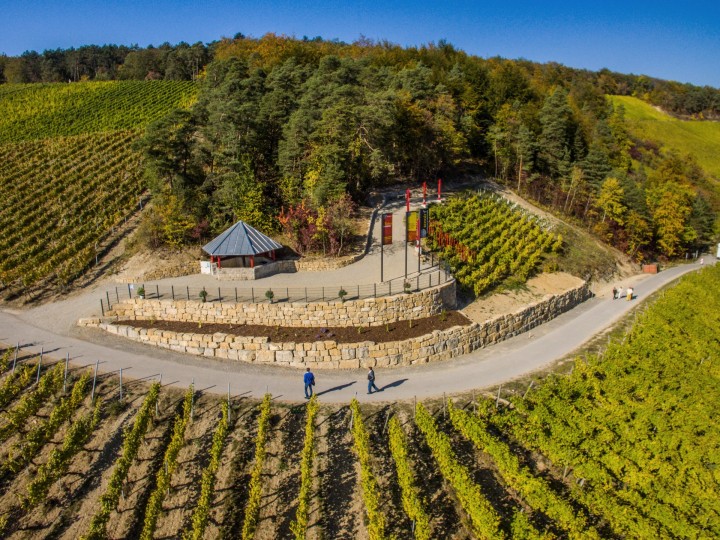 terroir f Ramsthal