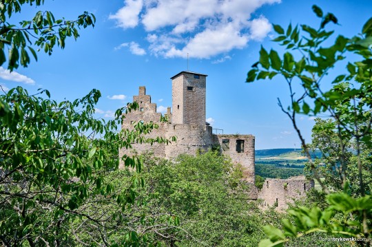  Trimburg 