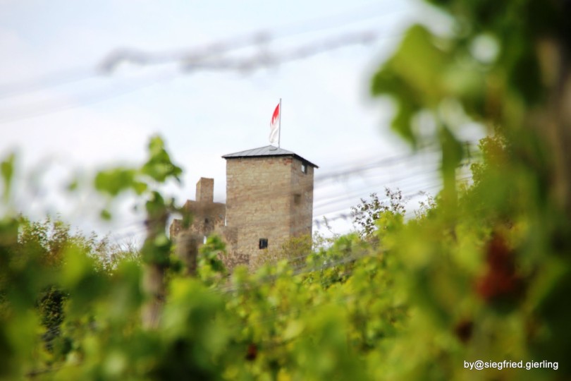 Wanderung auf Schusters Rappen zu alten Kulturen und Wein