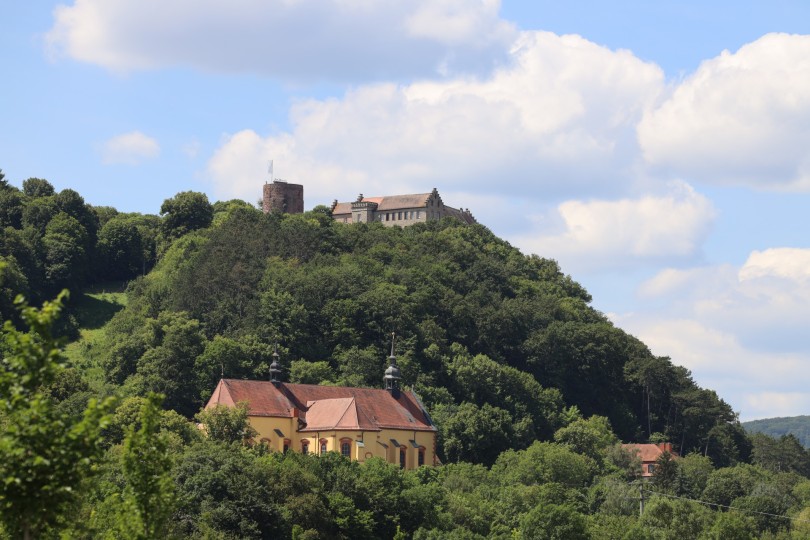 Weinlehrpfad Hammelburg